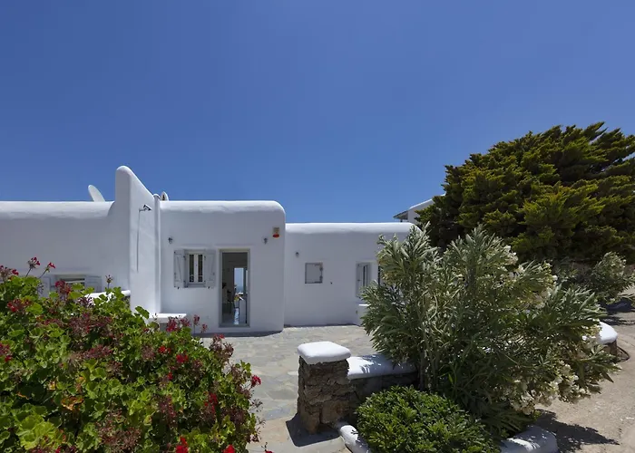 In Mykonos With Sea View And Pool Willa *